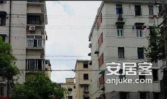 大连金虹西路最新爆料,揭秘改造进展与周边变化