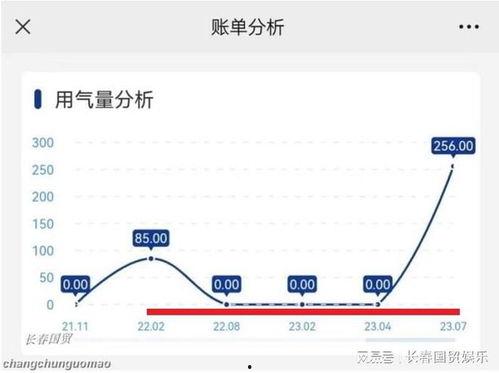 长春客服最新爆料信息,揭秘城市服务背后的故事