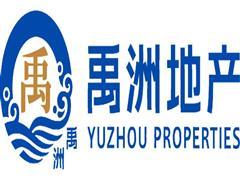 禹洲集团最新爆料新闻视频,揭秘项目进展与未来规划深度解析