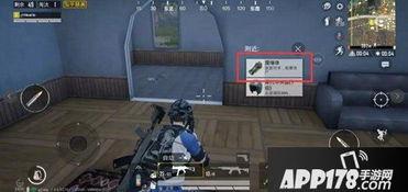 爆料和平精英皮肤最新爆料,平精英新皮肤爆料，神秘特效抢先看！