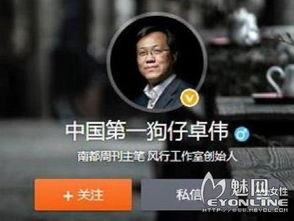 卓伟最新爆料风行视频下载,风行视频下载内幕大揭秘