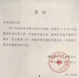 梧州爆料事件最新消息,最新进展揭秘，真相逐渐浮出水面