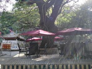 福州鼓山爆料案件最新