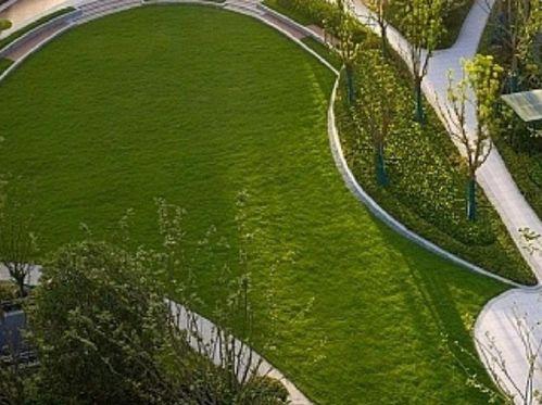 临平公园爆料视频最新,揭秘公园美景与人文风情