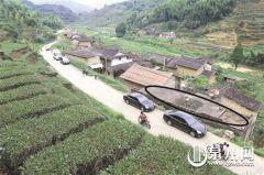 泉州安溪县爆料案件最新,案情揭秘，警方全力侦破