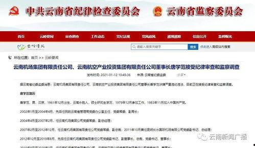 云南投资爆料最新消息,揭秘最新热点项目与投资机遇