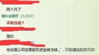 爆料迷支付网最新文章,迷支付网深度解析  第2张