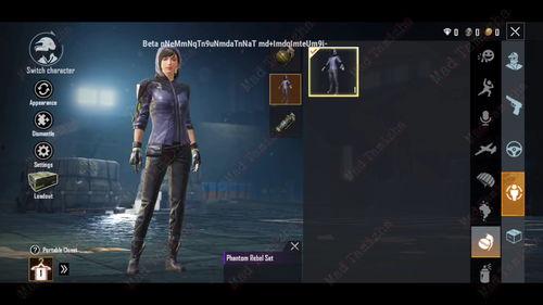pubg国际服最新手册爆料,最新Pubg国际服手册爆料，带你领略游戏新篇章  第3张