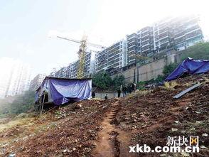 重庆奉节县爆料案件最新 第2张 重庆奉节县爆料案件最新 第2张