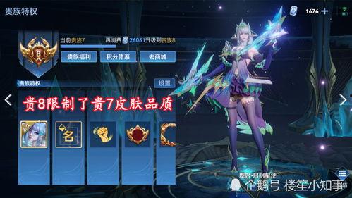 贵族皮肤最新爆料,奢华外观与神秘背景揭秘  第2张