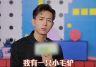李现最新爆料视频,揭秘幕后的精彩瞬间  第3张