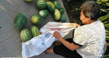 夏邑吃瓜最新事件爆料,揭秘背后惊人真相，网络热议持续升温  第2张