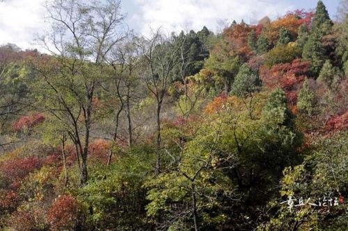 章丘郭家庄最新爆料,揭秘神秘事件背后的真相  第2张