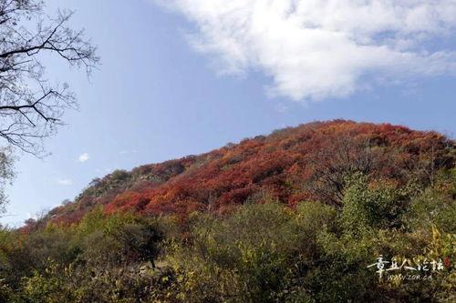 章丘郭家庄最新爆料,揭秘神秘事件背后的真相  第3张