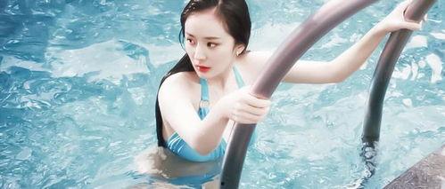 秦岚爆料杨幂视频大全最新,视频大全揭秘娱乐圈风云  第2张