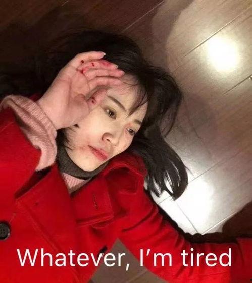 张云雷郑爽最新爆料,娱乐圈风云再起，真相揭秘！