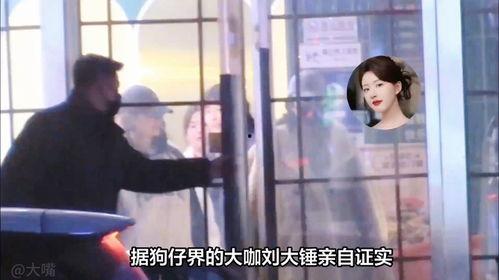 刘大锤最新爆料赵露思,娱乐圈新瓜来袭！  第3张