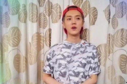 鹿晗亲友爆料视频大全最新,揭秘明星私生活幕后真相  第3张