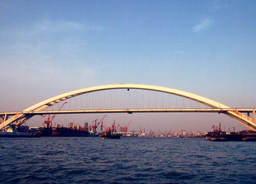 卢浦大桥爆料最新消息,事故原因及现场实况曝光