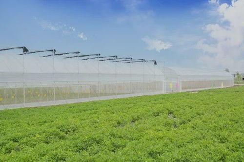 农场最新爆料  第2张