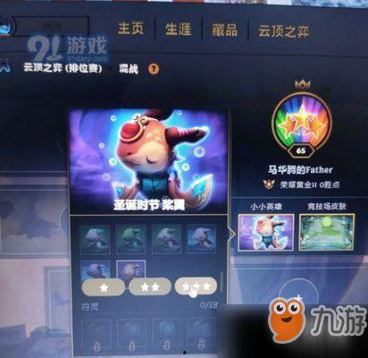 云顶最新小小英雄爆料,小小英雄新版本爆料，神秘英雄与全新元素即将登场！