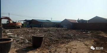 爆料龙口违建事件最新情况,官方调查结果及后续处理措施揭晓  第3张